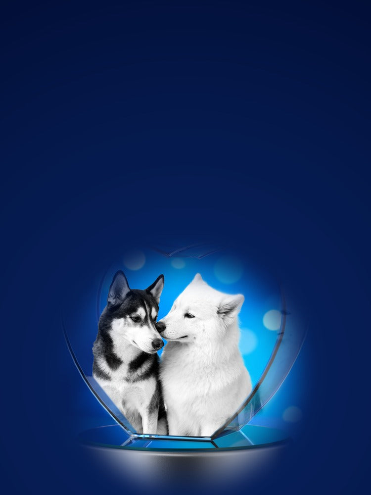 Mobile v4m4_slide3_pet_memorial.jpg